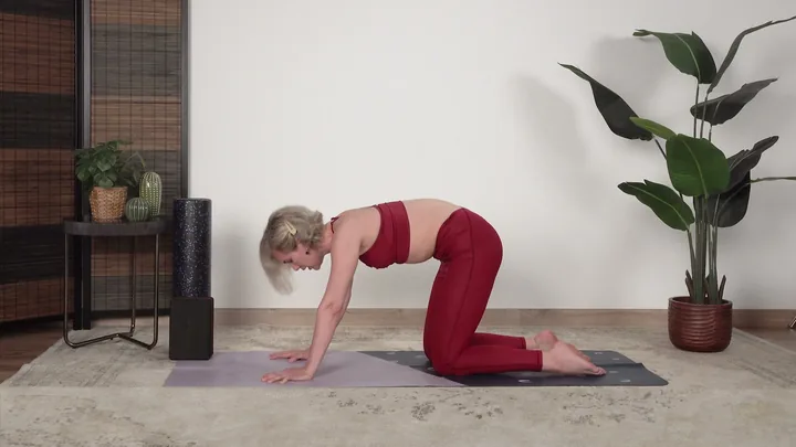 Full back body reset class