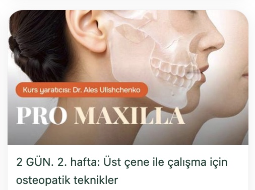 Pro Maxilla