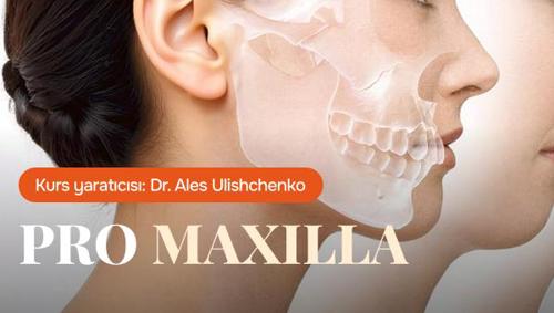 Maxilla